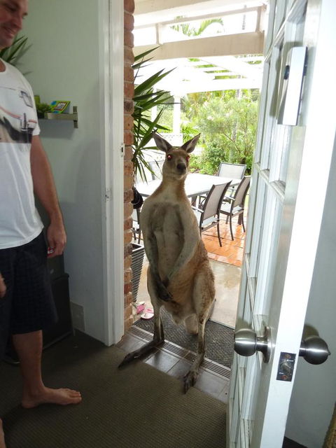 Aston Motel Yamba - Flights 10
