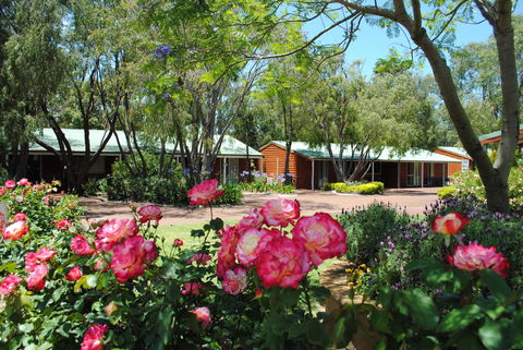 Margaret River Tourist Park - Flights 25