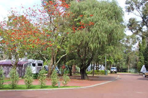 Margaret River Tourist Park - Flights 43