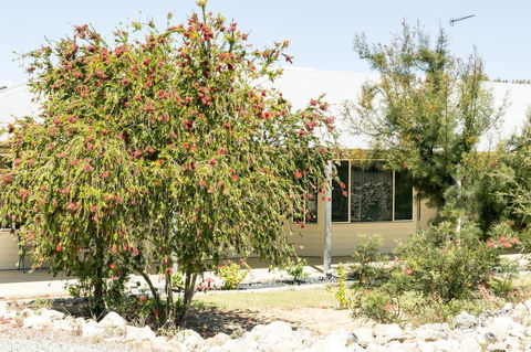The Heights Bed & Breakfast - Flights 15