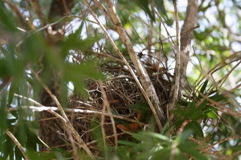 The Heights Bed & Breakfast - Flights 7