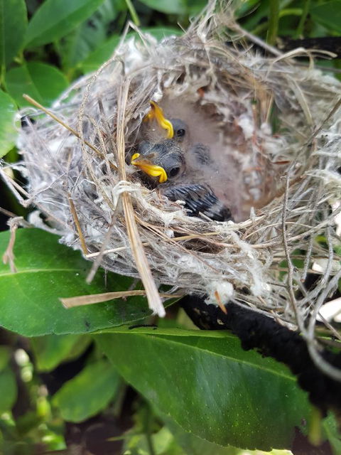 The Heights Bed & Breakfast - Flights 2