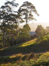 Book Bawley Point Accommodation Vacations Flights Flights