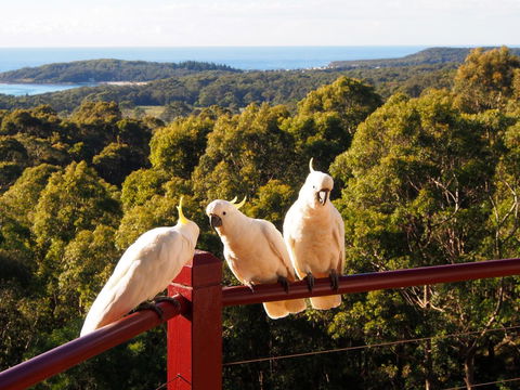 Bundle Hill Cottages - Flights 2