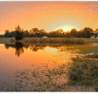 Madigan Wine Country Cottages - Flights