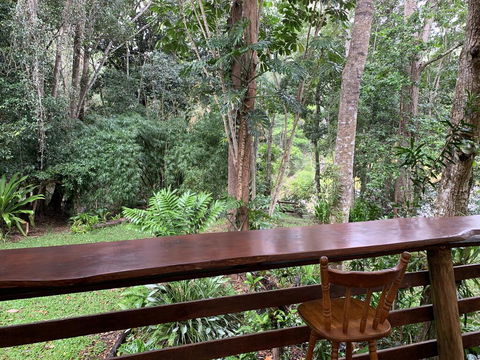Cedar Park Rainforest Resort - Flights 2