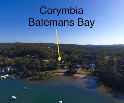 Corymbia Batemans Bay - Flights 1