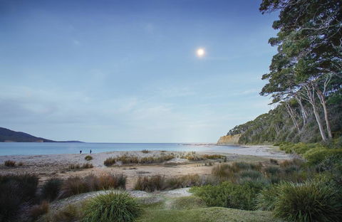 Depot Beach Cabins - Flights 1
