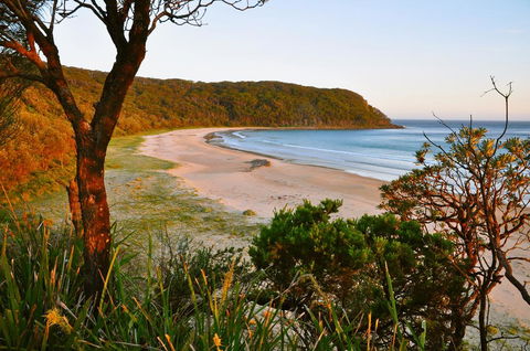 Durras Lake North Holiday Park - Flights 0