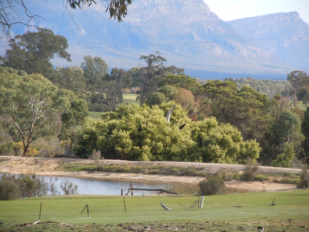 Bellfield VIC Flights