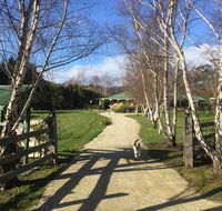 Green Gables BB - Flights