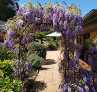 Gumtree House Montville - Flights