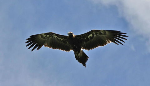 Highwood Park B&B Guest Lodge - Flights 3