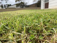 Book Karoonda Accommodation Vacations Flights Flights