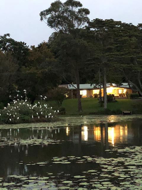 Maleny Lake Cottages-Guesthouse - Flights 3