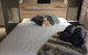 Maleny Luxury Cottages - thumb 0