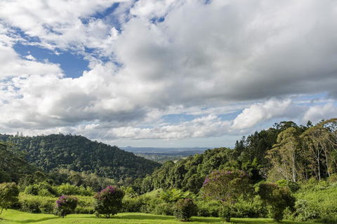 Maleny Manor - Flights 1