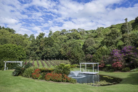 Maleny Manor - Flights 2
