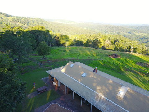 Maleny Orchard - Flights 3