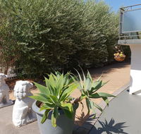 Mt.Lawley superb 2 BR Apartment Ideally located 5 - Flights