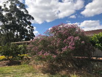 Book Cockburn Central Accommodation Vacations Flights Flights