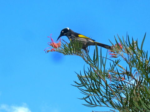 Bridgetown Valley Lodge - Flights 42