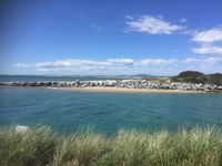 Book Bridport Accommodation Vacations Flights Flights