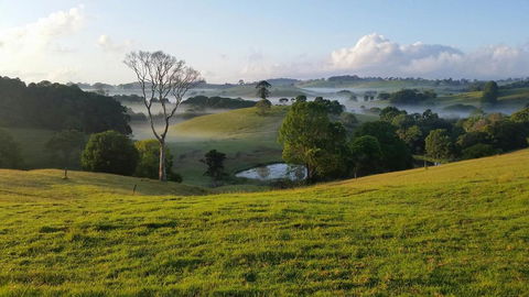 Newyan @ Maleny - Flights 3
