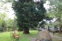 Olinda Country Cottages