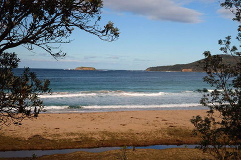 Pebbly Beach Shacks - Flights 0