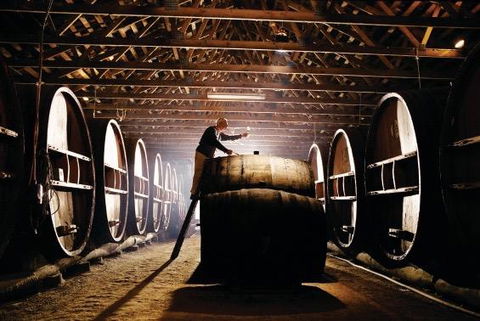 Pieter Van Gent Winery & Vineyard - Flights 0