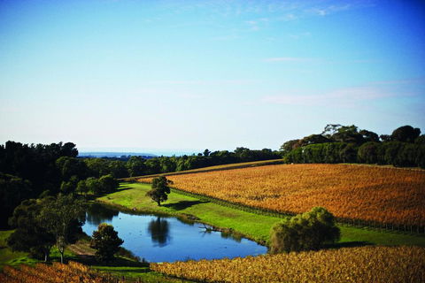 Port Phillip Estate - Flights 2