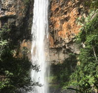 Purling Brook Falls Gwongorella - Flights