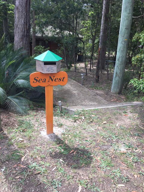 Sea Nest - Flights 0