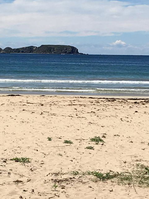 Surf Beach Holiday - Flights 0