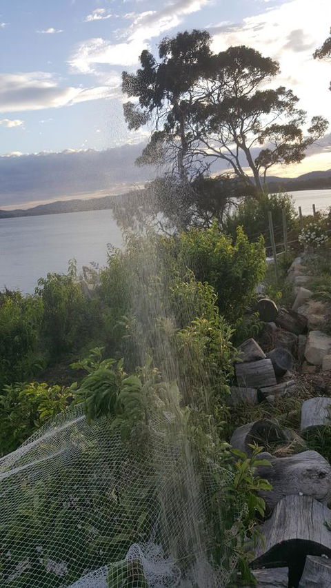AppleBay Guest House - Flights 21