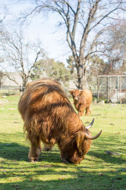 Ratho Farm - Flights 4