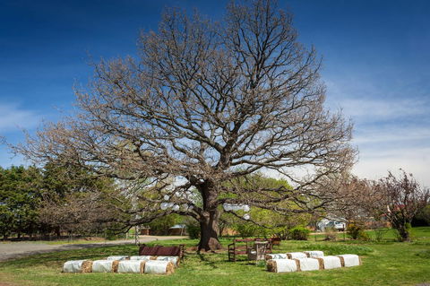 Ratho Farm - Flights 8