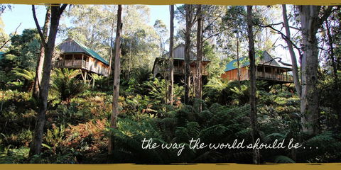 Lemonthyme Wilderness Retreat - Flights 20