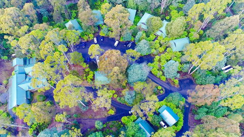 Lemonthyme Wilderness Retreat - Flights 1