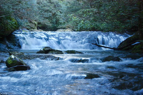 Lemonthyme Wilderness Retreat - Flights 10