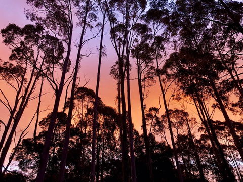 Lemonthyme Wilderness Retreat - Flights 8