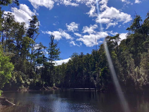 Lemonthyme Wilderness Retreat - Flights 7