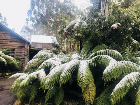Lemonthyme Wilderness Retreat - Flights 5