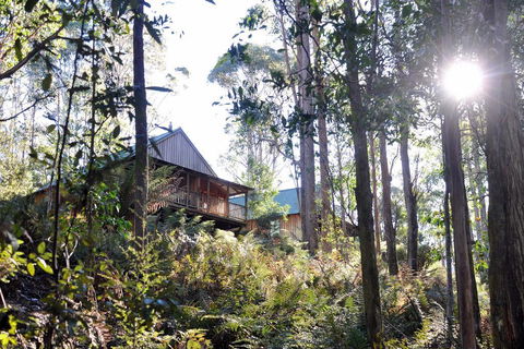 Lemonthyme Wilderness Retreat - Flights 25