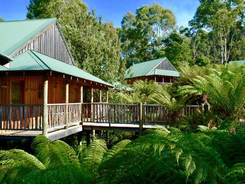 Lemonthyme Wilderness Retreat - Flights 11