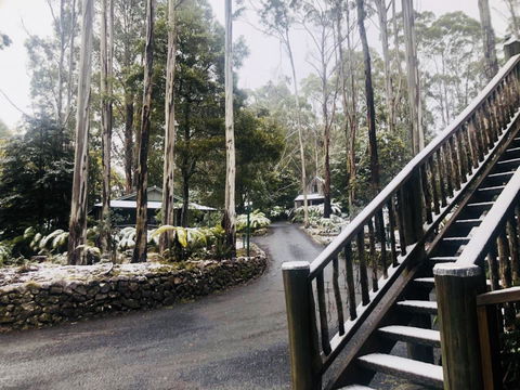 Lemonthyme Wilderness Retreat - Flights 15
