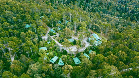 Lemonthyme Wilderness Retreat - Flights 0