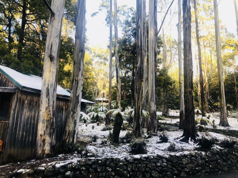 Lemonthyme Wilderness Retreat - Flights 6