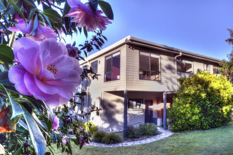 Cove Beach Apartment 2 - Flights 9